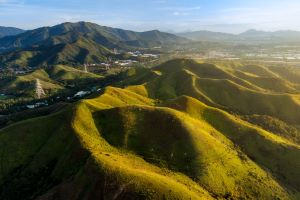 Five Key Factors for Corporates Choosing Carbon Credits